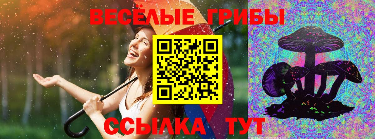 Псилоцибиновые грибы прущие грибы Борзя